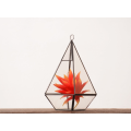 New Product Indoor Geometric Glass Hanging Terrarium